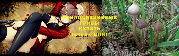кристаллы Богданович