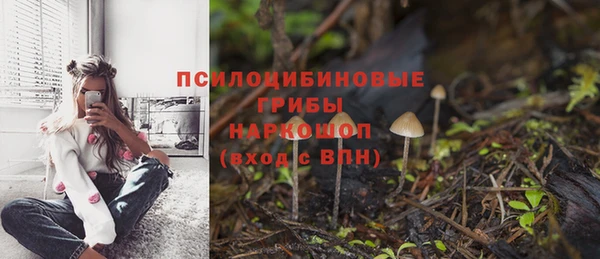 гидропоника Богородицк